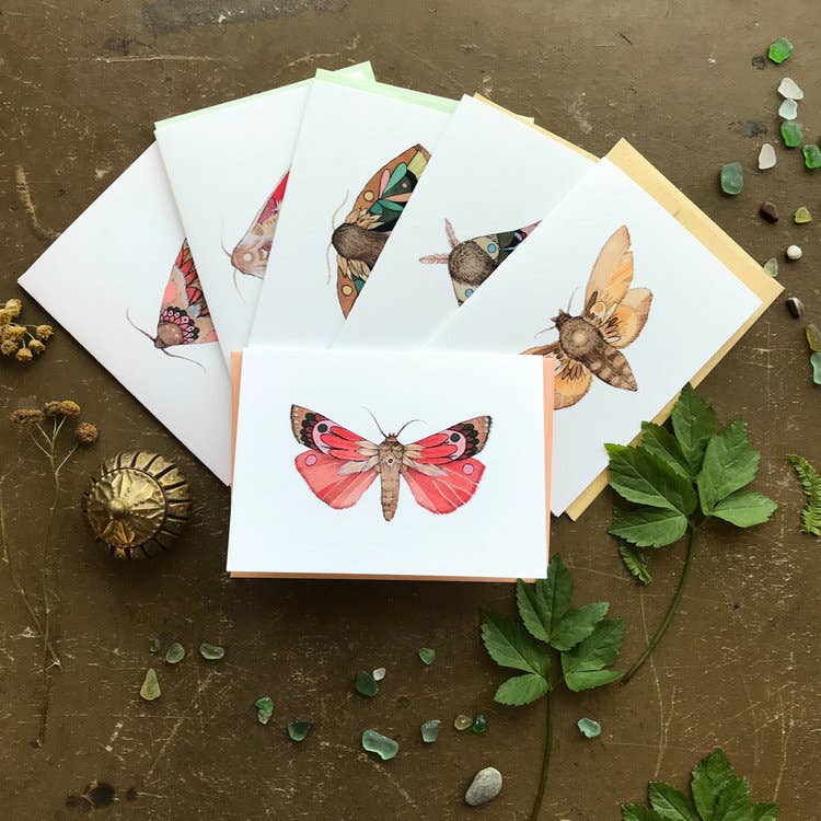 Moths Small Card Pack - Collector Set 1
