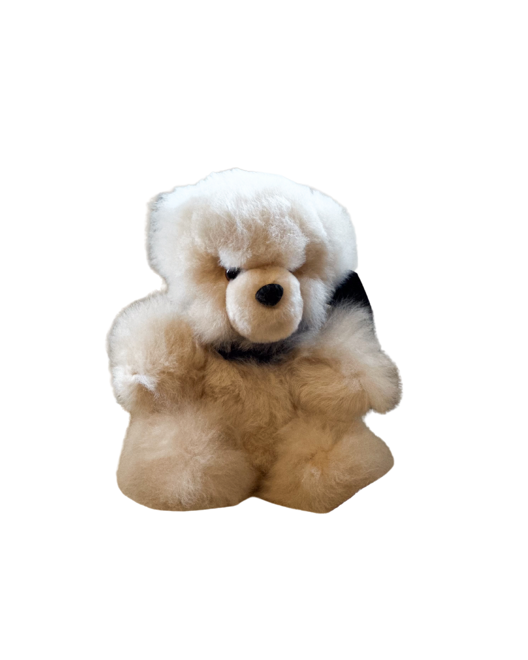 Teddy Bears