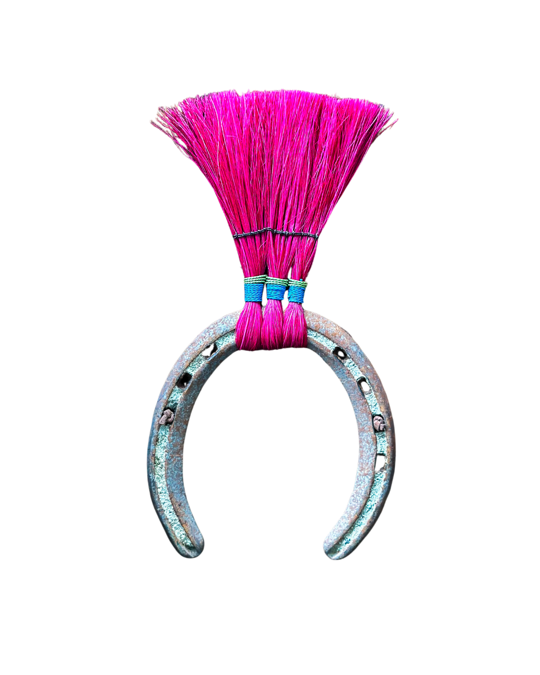 Horseshoe Broom