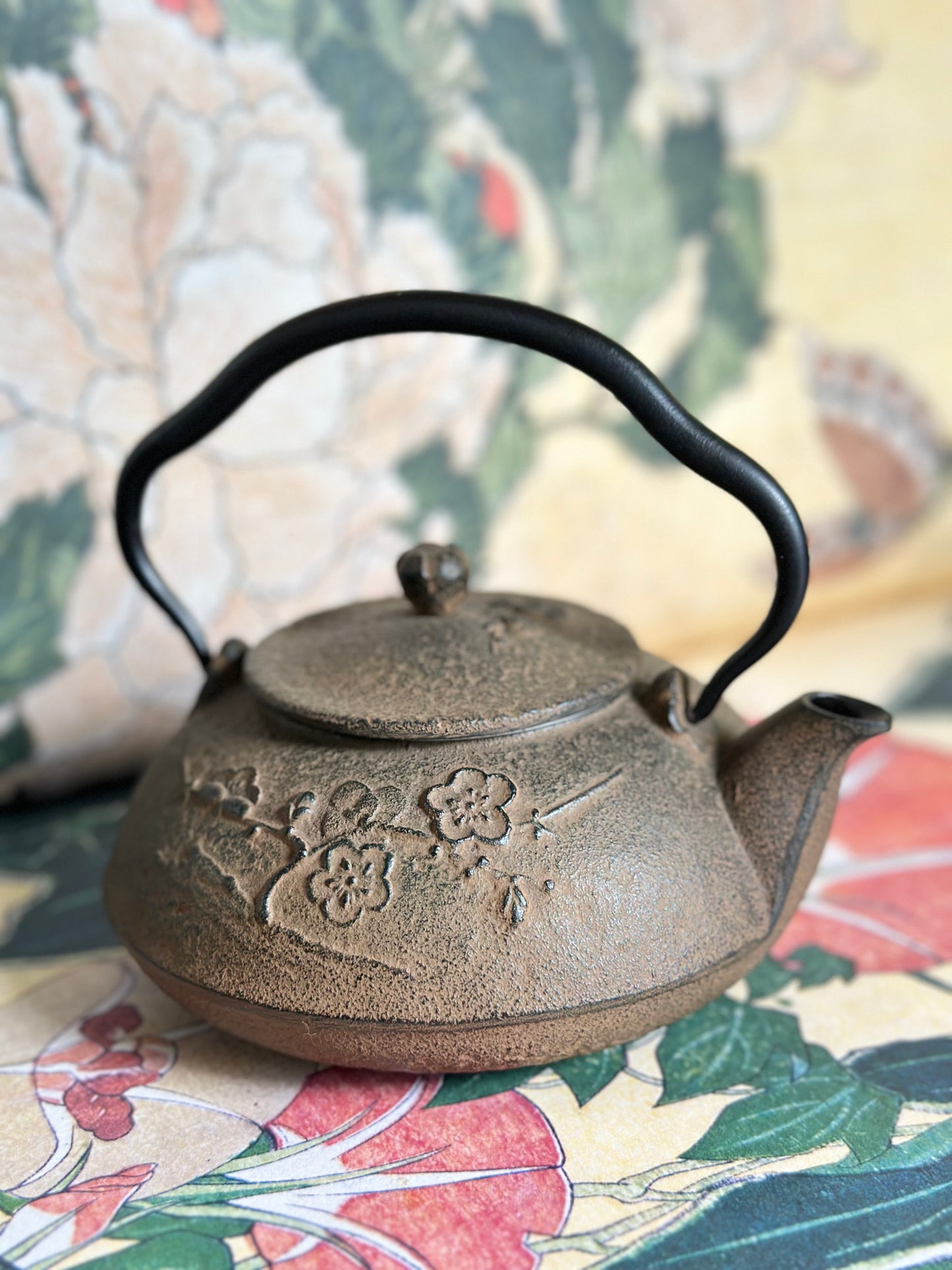 Shinonome Iron Tea Kettle