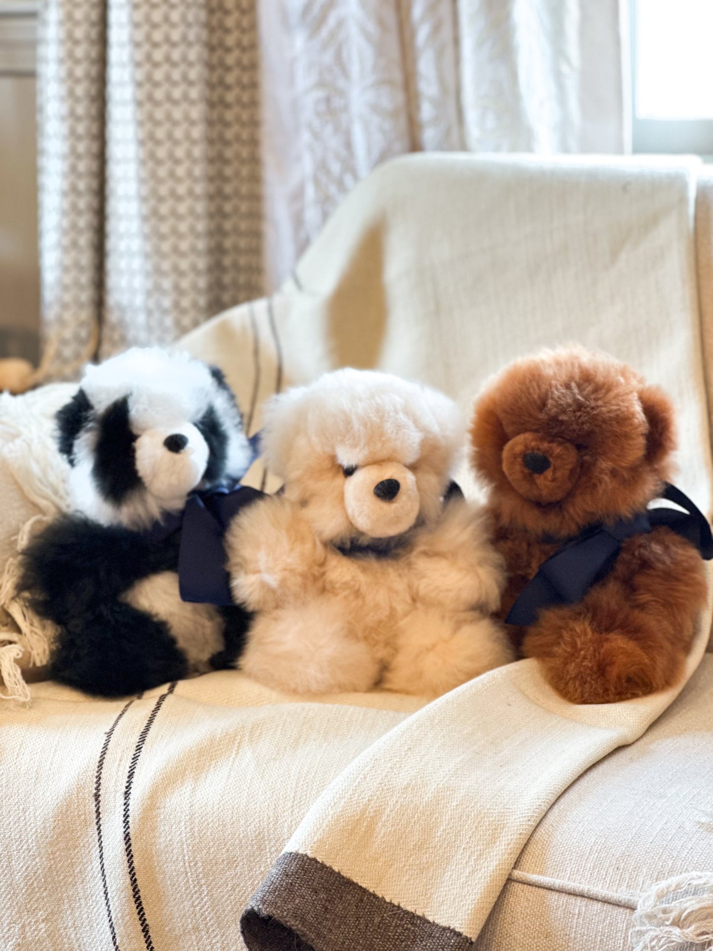 Teddy Bears