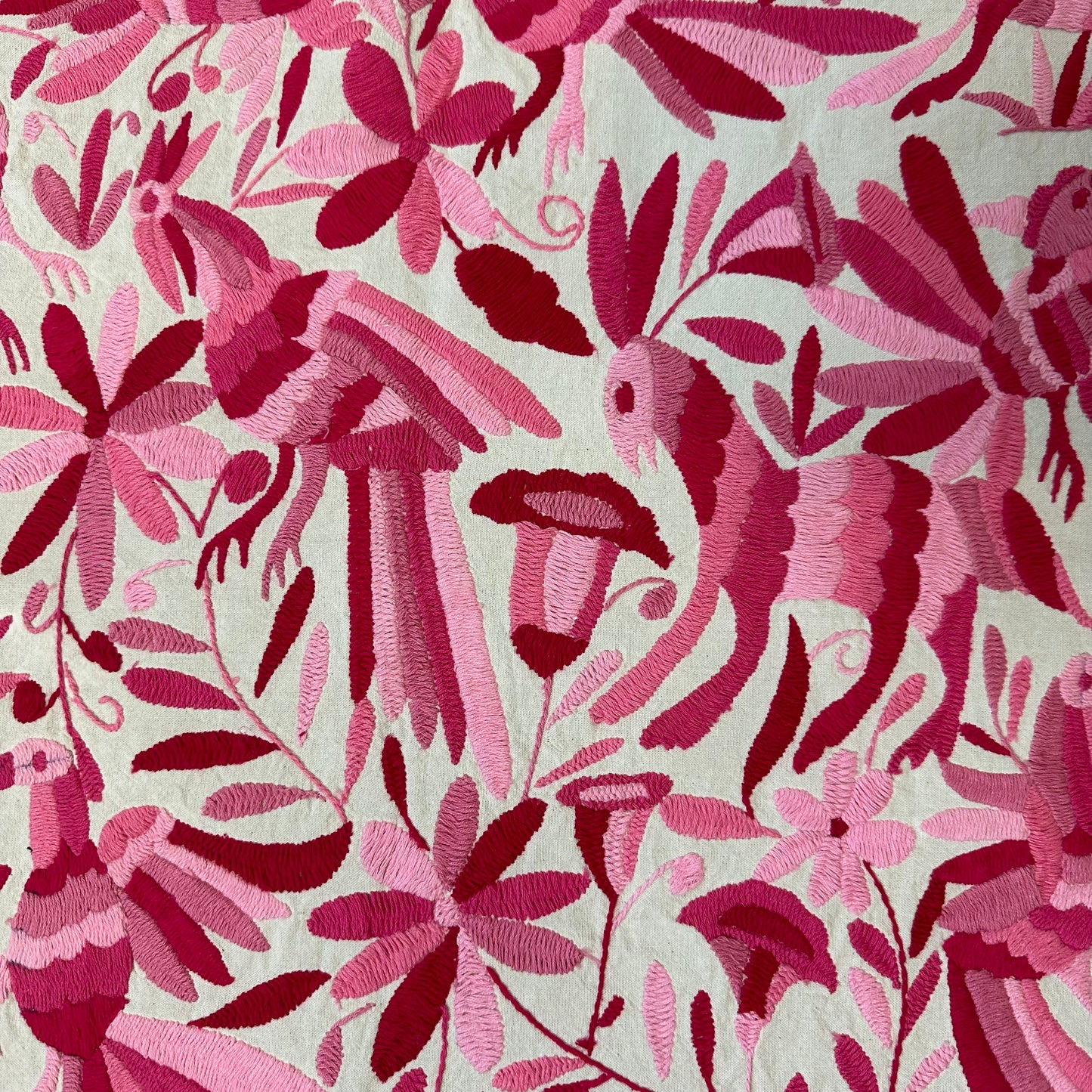 Otomi Embroidered Canvas Pops of Pink