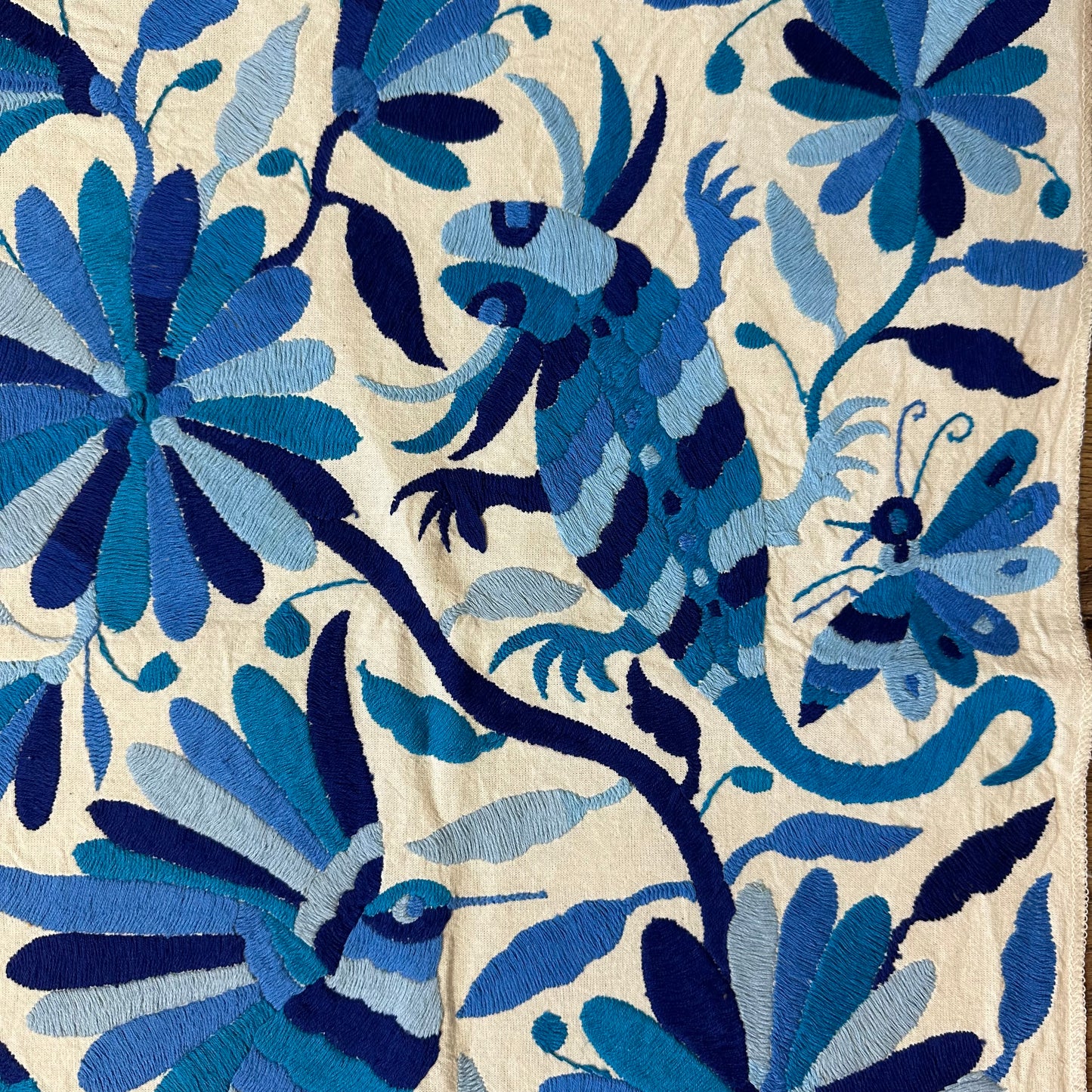 Otomi Embroidered Canvas Bending Blues