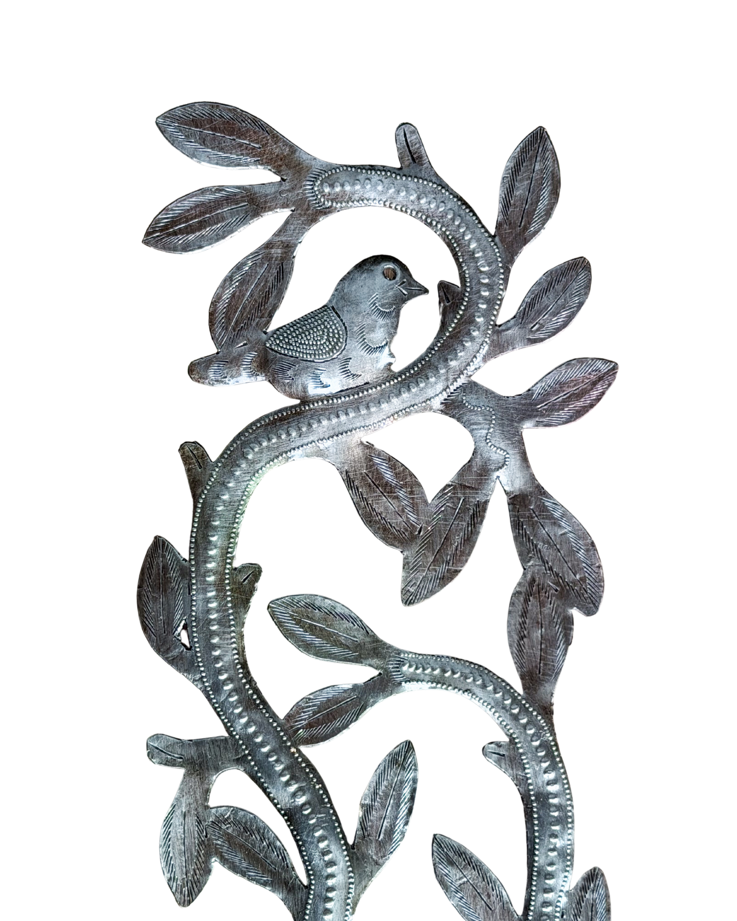 Tree of Life