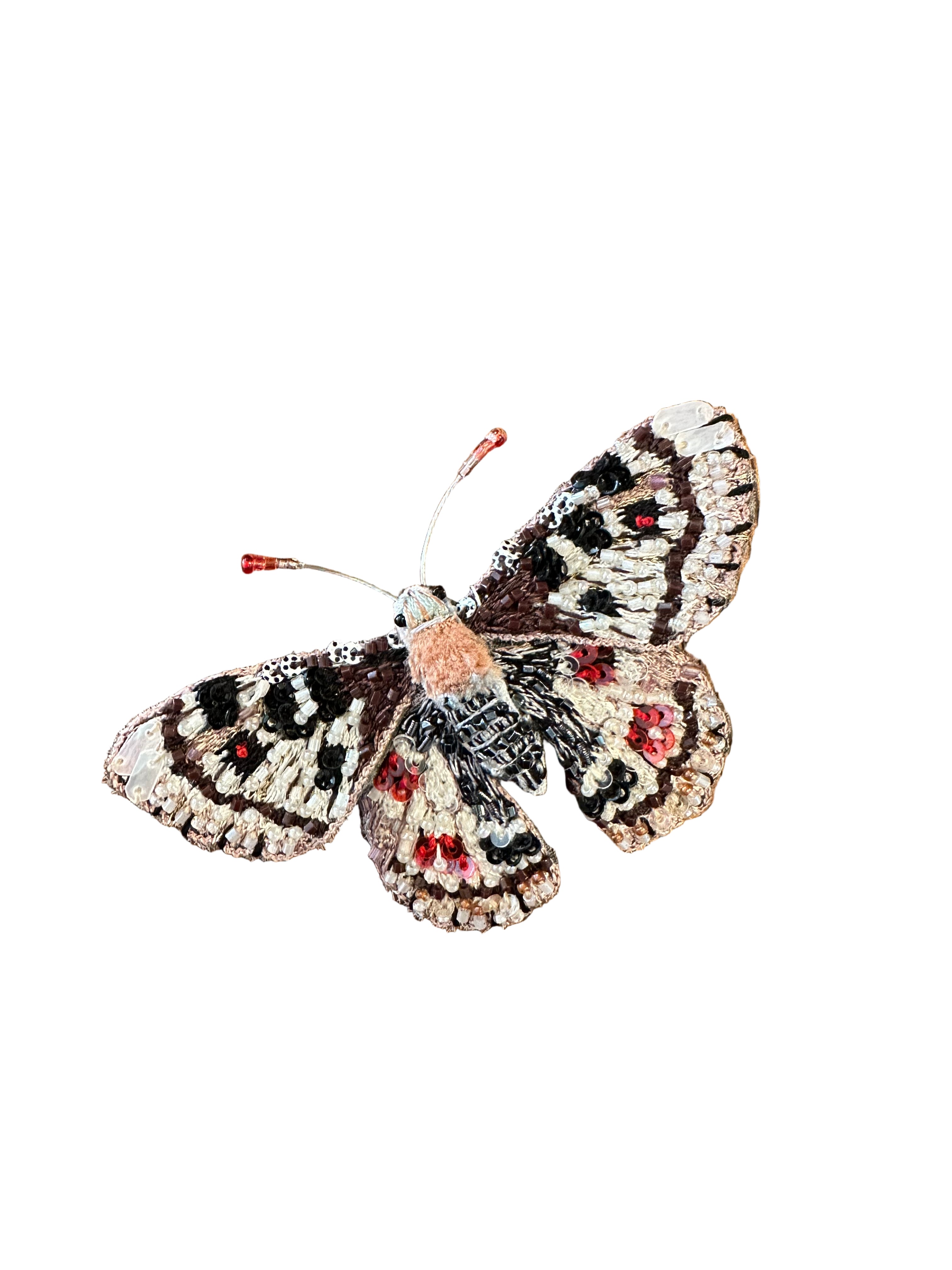 False Apollo Butterfly Brooch Pin