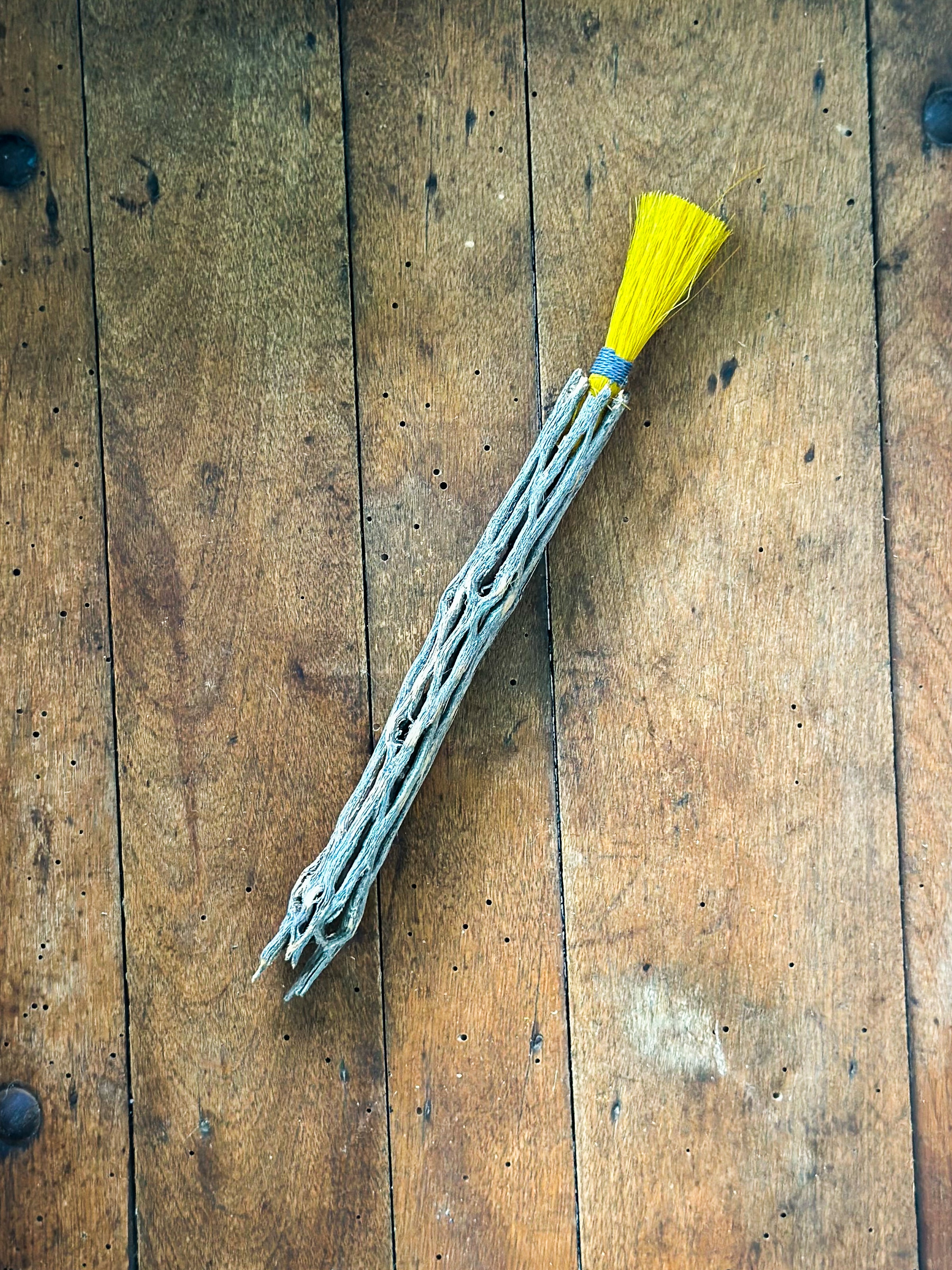 Cholla Cactus Broom