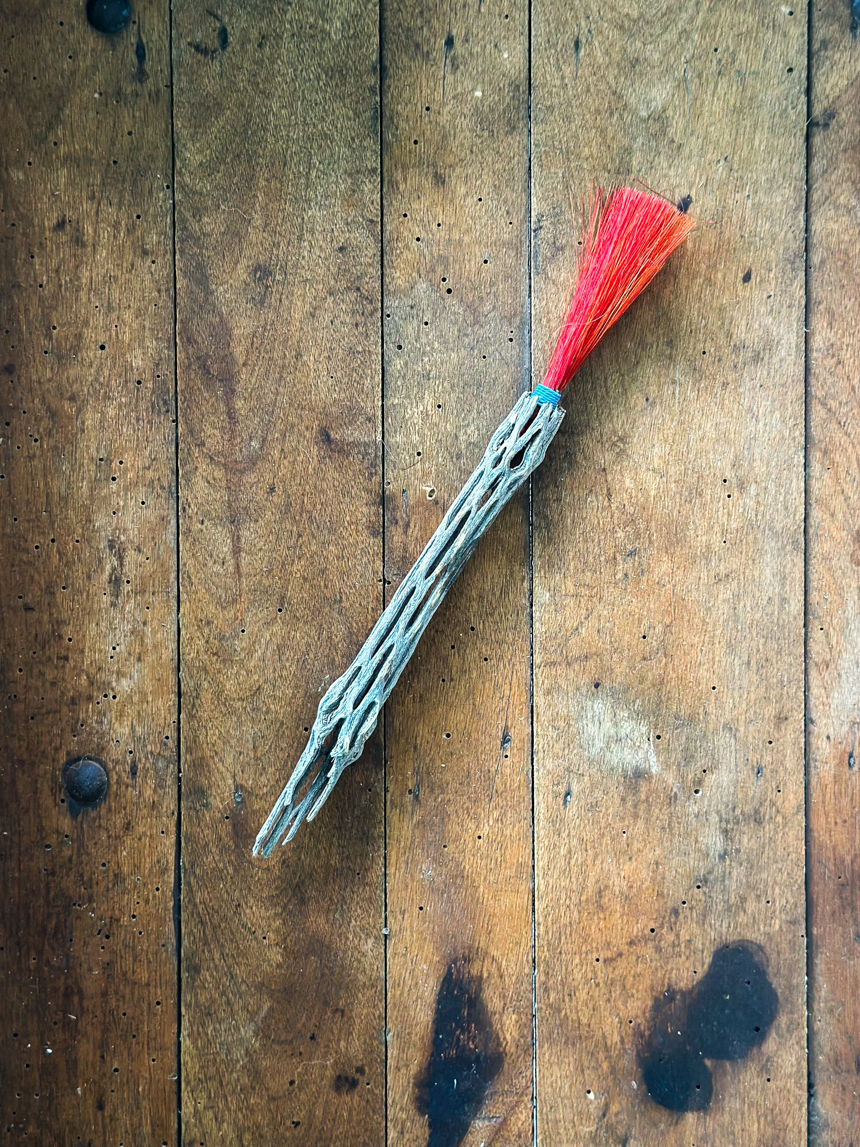 Cholla Cactus Broom