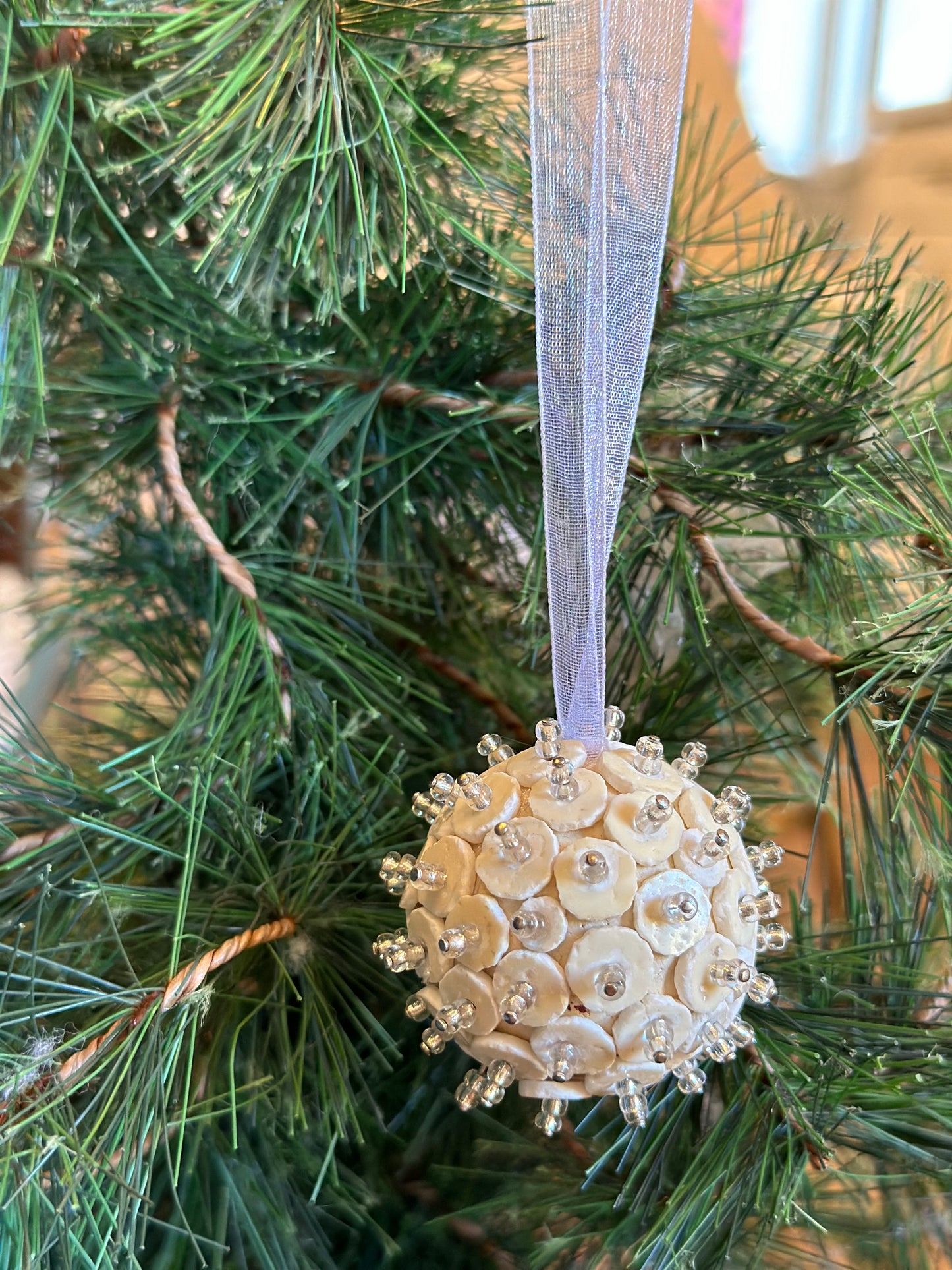 Ostrich Eggshell Ornament