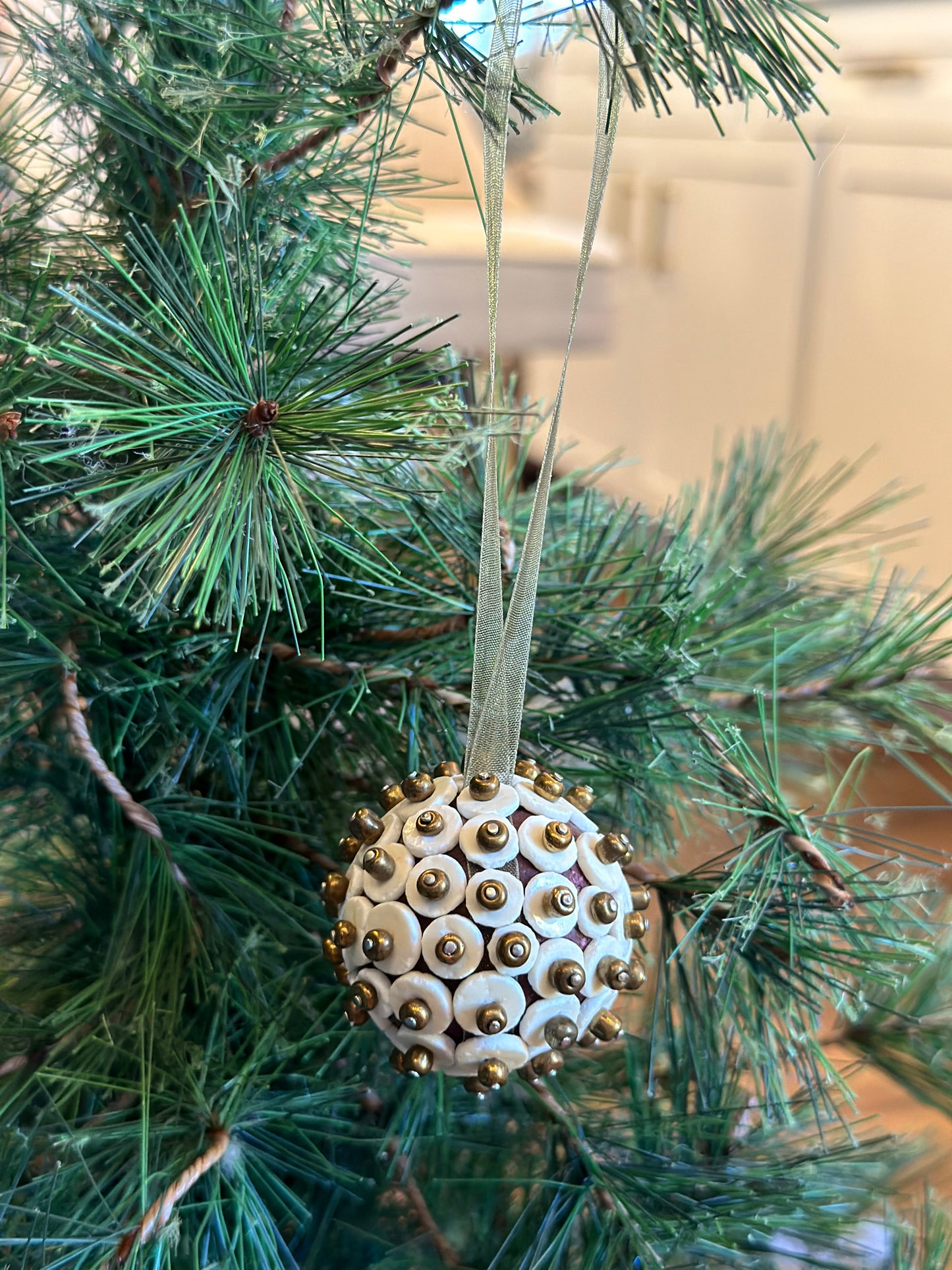 Ostrich Eggshell Ornament