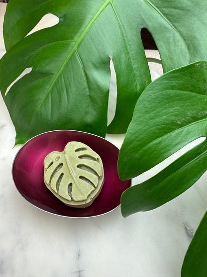 Monstera Leaf Lotion Bar