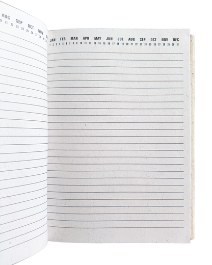 "Being of Light" Journal