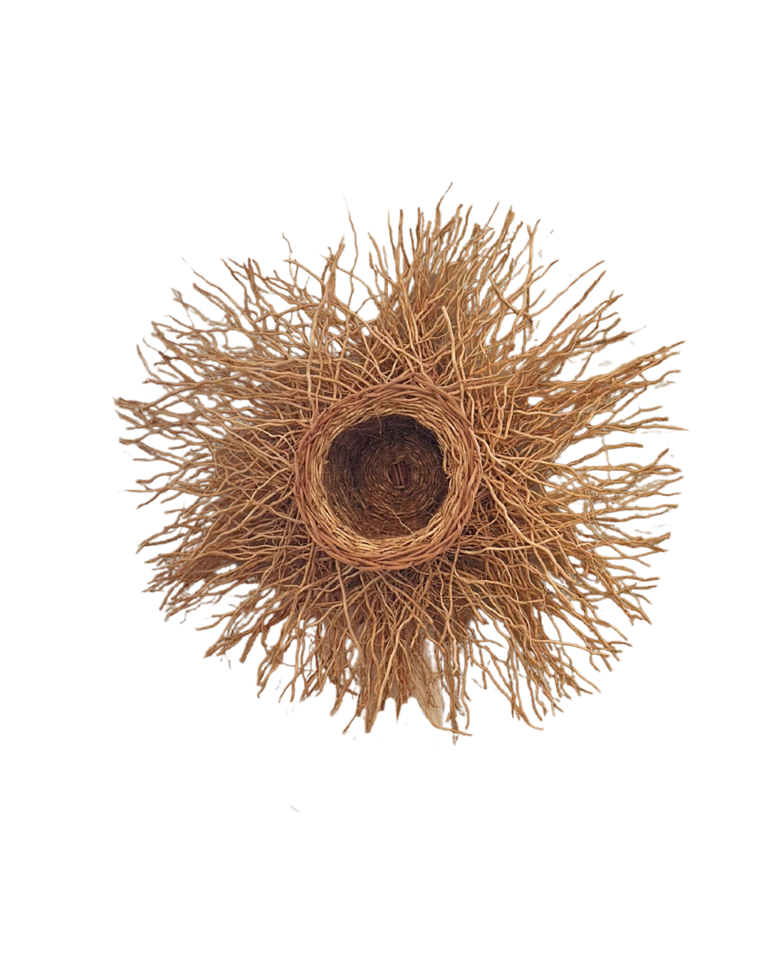 Vetiver Nest Vase