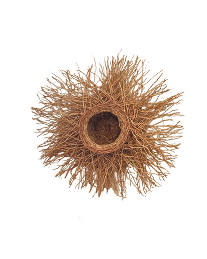 Vetiver Nest Vase